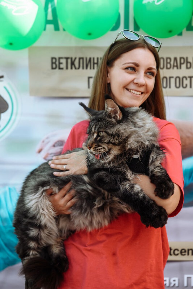Ветцентр «ДейлиВет»