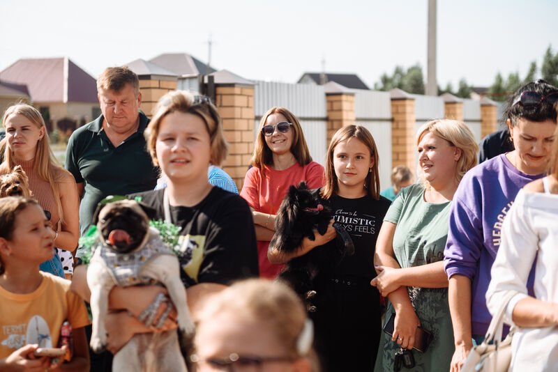 Ветцентр «ДейлиВет»